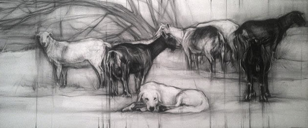 art by April Coppini - pencil drawings of sheep