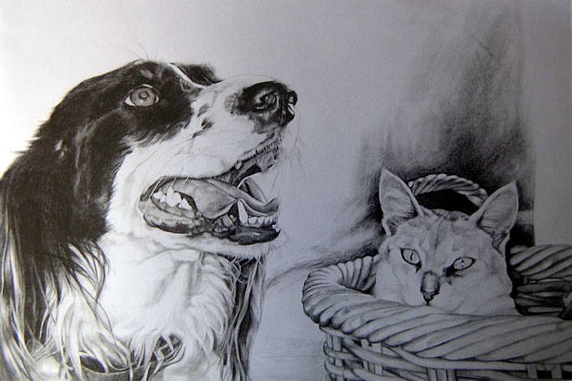 observational graphite drawings of a dog and cat